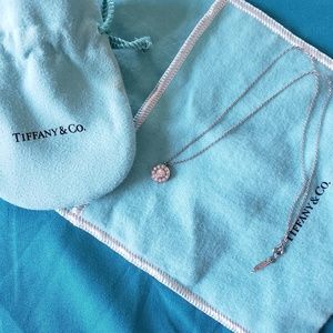 Platinum and Diamond Tiffany necklace